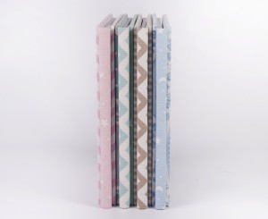 Lomos de los álbumes infantiles.